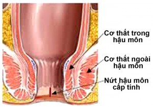 Bệnh viêm da cơ địa có lây không và một số vấn đề cần lưu ý